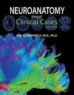 Neuroanatomy through Clinical Cases - Hal Blumenfeld - Libro Oxford University Press Inc | Libraccio.it
