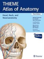 Head, Neck, and Neuroanatomy (THIEME Atlas of Anatomy) - Michael Schuenke, Erik Schulte, Udo Schumacher - Libro Thieme Medical Publishers Inc | Libraccio.it