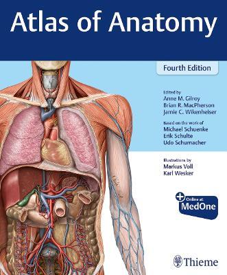 Atlas of Anatomy - Anne M Gilroy, Brian R MacPherson, Jamie Wikenheiser - Libro Thieme Medical Publishers Inc | Libraccio.it