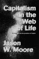Capitalism in the Web of Life - Jason W. Moore - Libro Verso Books | Libraccio.it