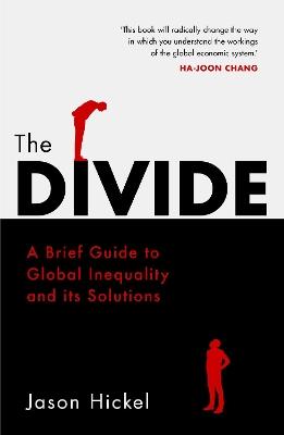 The Divide - Jason Hickel - Libro Cornerstone | Libraccio.it