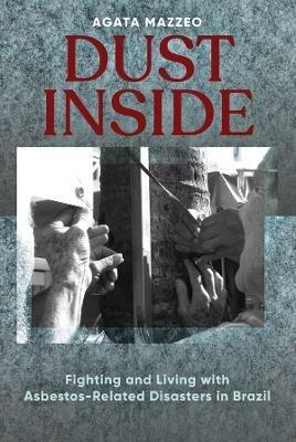 Dust Inside - Agata Mazzeo - Libro Berghahn Books | Libraccio.it