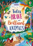 Tales of brave and brilliant animals. Ediz. a colori - Susanna Davidson, Mairi Mackinnon, Lan Cook - Libro Usborne 2023 | Libraccio.it