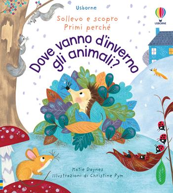 Dove vanno d’inverno gli animali? Ediz. a colori - Katie Daynes - Libro Usborne 2022, Sollevo e scopro. Primi perché | Libraccio.it
