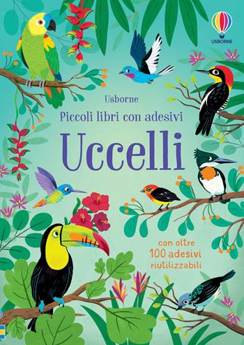 Uccelli. Con adesivi. Ediz. a colori - Jane Bingham - Libro Usborne 2024, Piccoli libri con adesivi | Libraccio.it