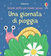 Una giornata di pioggia. Ediz. illustrata