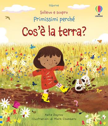 Cos'è la terra? - Katie Daynes - Libro Usborne 2023, Sollevo e scopro. Primissimi perché | Libraccio.it