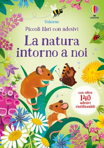 La natura intorno a noi. Ediz. a colori - Caroline Young - Libro Usborne 2024, Piccoli libri con adesivi | Libraccio.it