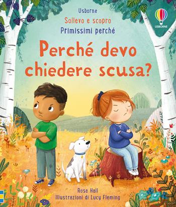 Perchè devo chiedere scusa? Ediz. a colori - Rose Hall - Libro Usborne 2024, Sollevo e scopro. Primissimi perché | Libraccio.it
