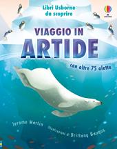 Viaggio nell'Artide