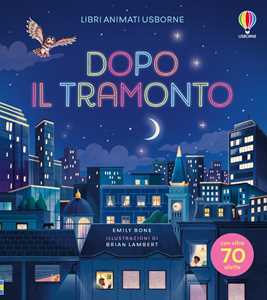 Libri Animati Usborne - Dopo Il Tramonto