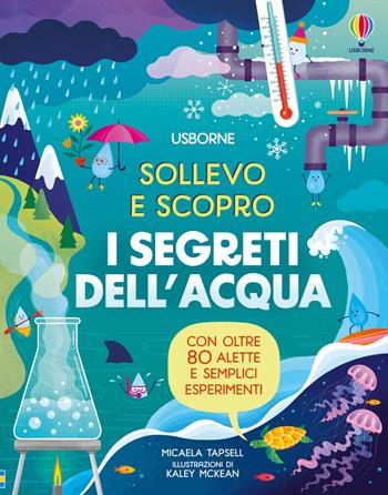 I segreti dell'acqua. Ediz. illustrata - Micaela Tapsell - Libro Usborne 2025, Sollevo e scopro | Libraccio.it