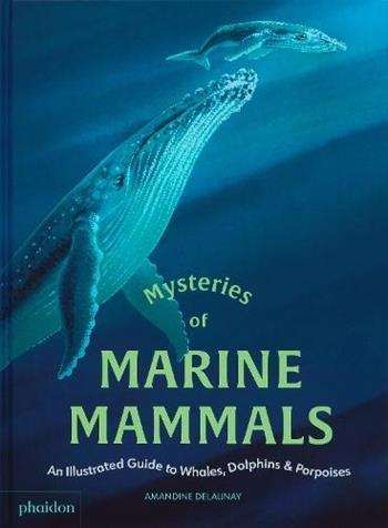 Mysteries of marine mammals. An illustrated guide to whales, dolphins, and porpoises - Amandine Delaunay - Libro Phaidon 2025 | Libraccio.it