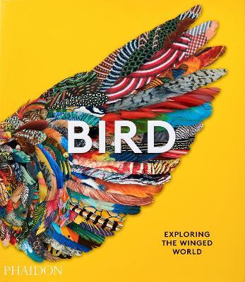 Bird. Ediz. a colori  - Libro Phaidon 2021, Arte | Libraccio.it