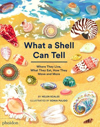 What a shell can tell. Where they live, what they eat, how they move and more - Helen Scales - Libro Phaidon 2022, Libri per bambini | Libraccio.it