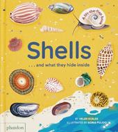 Shells and what they hide inside