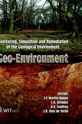 Geo-environment  - Libro WIT Press | Libraccio.it