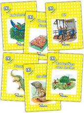 Nonfiction. Yellow level. Jolly phonics readers. Con espansione online