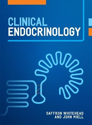 Clinical Endocrinology - Saffron Whitehead, John Miell - Libro Scion Publishing Ltd | Libraccio.it