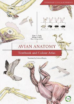 Avian Anatomy 2nd Edition - Horst Erich Konig - Libro 5M Books Ltd, Veterinary Atlases | Libraccio.it