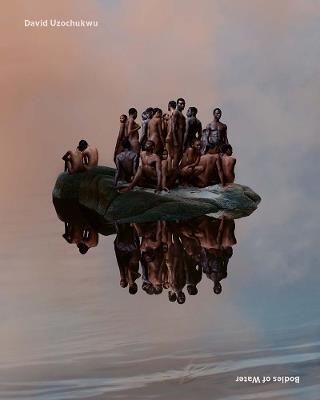David Uzochukwu: bodies of water - Efeoghene Igor Coleman - Libro Paul Holberton Publishing 2026 | Libraccio.it