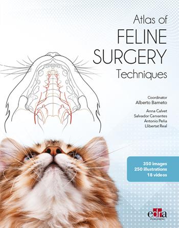 Atlas of feline surgery techniques - Alberto Barneto, Anna Calvet, Salvador Cervantes - Libro Edra 2023 | Libraccio.it