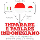 Libraccio Imparare & parlare indonesiano (audiolibro)