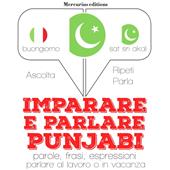 Libraccio Imparare & parlare punjabi (audiolibro)