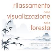 Libraccio Rilassamento Bosvisualisatie (audiolibro)