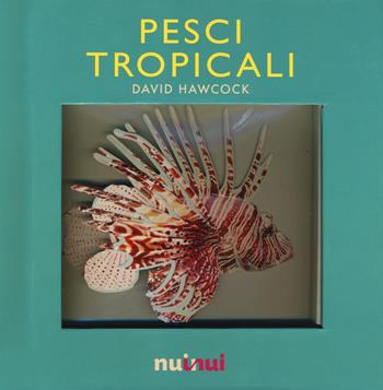 Pesci tropicali. Libro pop-up. Ediz. a colori - David Hawcock - Libro Nuinui 2017 | Libraccio.it
