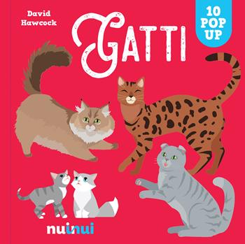Gatti. Sorprendenti pop up. Ediz. a colori - David Hawcock - Libro Nuinui 2022 | Libraccio.it
