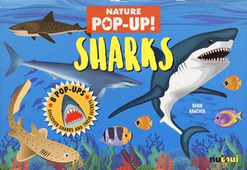 Sharks. Nature pop up! Ediz. a colori - David Hawcock - Libro Nuinui 2022 | Libraccio.it
