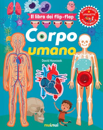 Corpo umano. Il libro dei flip-flap. Ediz. a colori - David Hawcock - Libro Nuinui 2021 | Libraccio.it
