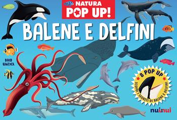 Balene e delfini. Natura pop up! Ediz. a colori - David Hawcock - Libro Nuinui 2023 | Libraccio.it