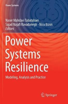 Power Systems Resilience  - Libro Springer Nature Switzerland AG, Power Systems | Libraccio.it
