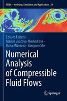 Numerical Analysis of Compressible Fluid Flows - Eduard Feireisl, Mária Lukácová-Medvidová, Hana Mizerová - Libro Springer Nature Switzerland AG, MS&A | Libraccio.it
