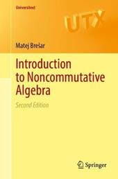 Introduction to Noncommutative Algebra