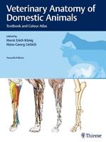 Veterinary Anatomy of Domestic Animals  - Libro Thieme Publishing Group | Libraccio.it