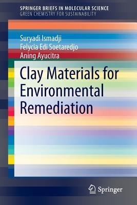 Clay Materials for Environmental Remediation - Suryadi Ismadji, Felycia Edi Soetaredjo, Aning Ayucitra - Libro Springer International Publishing AG, SpringerBriefs in Molecular Science | Libraccio.it