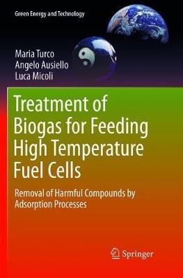 Treatment of Biogas for Feeding High Temperature Fuel Cells - Maria Turco, Angelo Ausiello, Luca Micoli - Libro Springer International Publishing AG, Green Energy and Technology | Libraccio.it