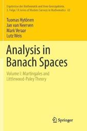 Analysis in Banach Spaces