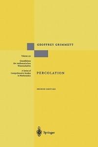 Percolation - Geoffrey R. Grimmett - Libro Springer-Verlag Berlin and Heidelberg GmbH & Co. KG, Grundlehren der mathematischen Wissenschaften | Libraccio.it