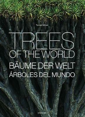 Trees  - Libro Kolon FKG 2023 | Libraccio.it
