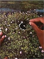 RE/SISTERS  - Libro Prestel | Libraccio.it