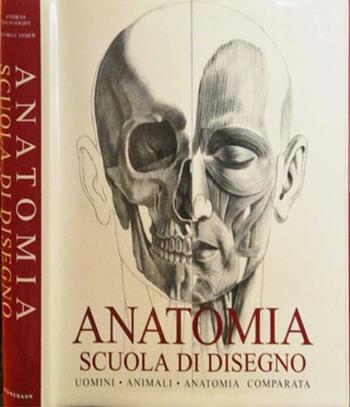 Anatomia. Scuola di disegno. Uomini, animali, anatomia comparata. Ediz. illustrata  - Libro Ullmann 2003 | Libraccio.it