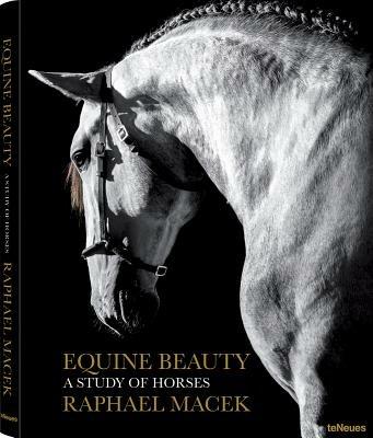 Equine beauty. A study of horses - Raphael Macek - Libro TeNeues 2013, Photographer | Libraccio.it