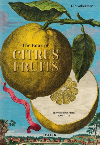 Johann Christoph Volkamer. The book of citrus fruits. Ediz. inglese, francese e tedesca - Iris Lauterbach - Libro Taschen 2020, Extra large | Libraccio.it