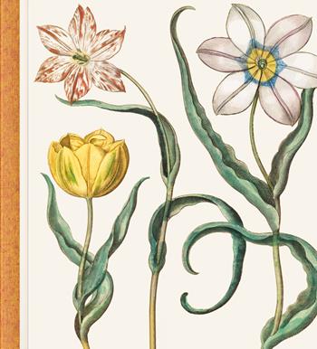 Basilius Besler. The Garden at Eichstätt. Ediz. inglese, francese e tedesca - Klaus Walter Littger, Werner Dressendörfer - Libro Taschen 2023 | Libraccio.it