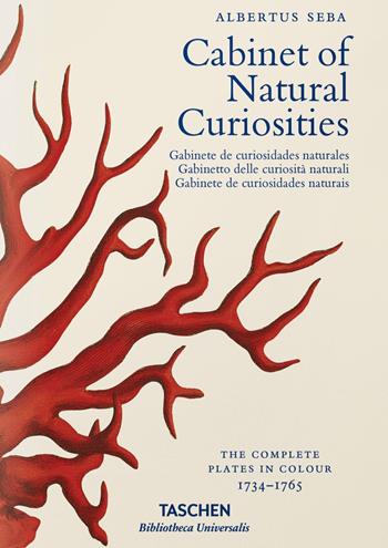 Albertus Seba. Cabinet of natural curiosities. Ediz. italiana, spagnola e portoghese - Irmgard Musch, Jes Rust, Rainer Willmann - Libro Taschen 2015, Bibliotheca Universalis | Libraccio.it