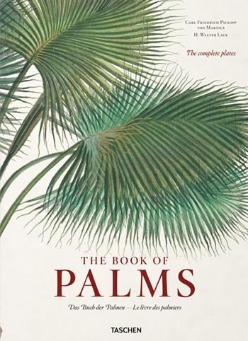 Martius. The book of palms. Ediz. inglese, francese, tedesca - H. Walter Lack - Libro Taschen 2022 | Libraccio.it